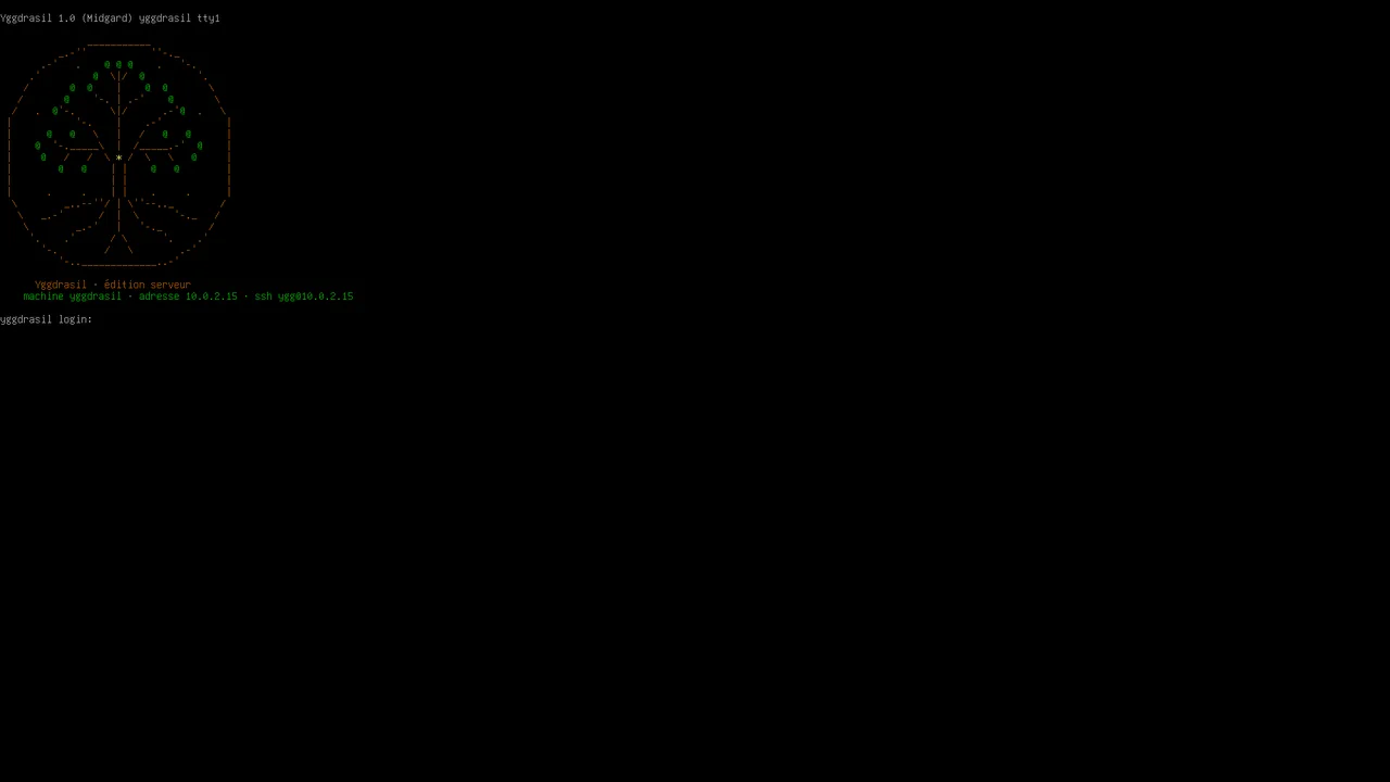 L'édition serveur : l'arbre et l'adresse de la machine à la console